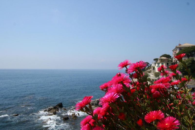 20140426Escursione-in-Liguria---da-Bogliasco-a-Camogli-GE004